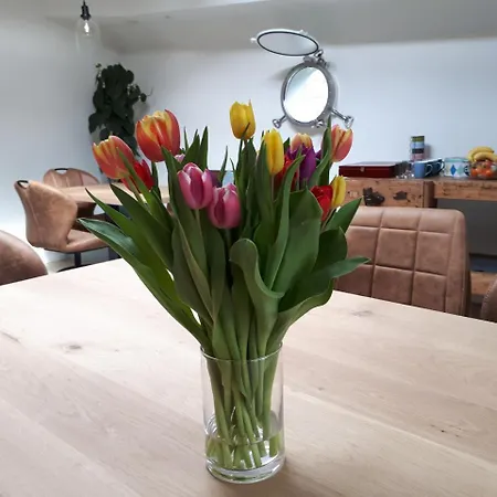 Boat On Water Bed & Breakfast