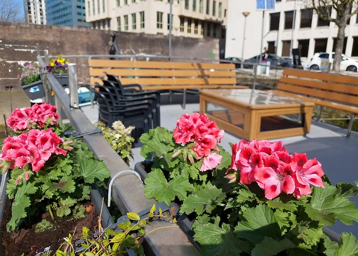 Boat On Water Bed & Breakfast